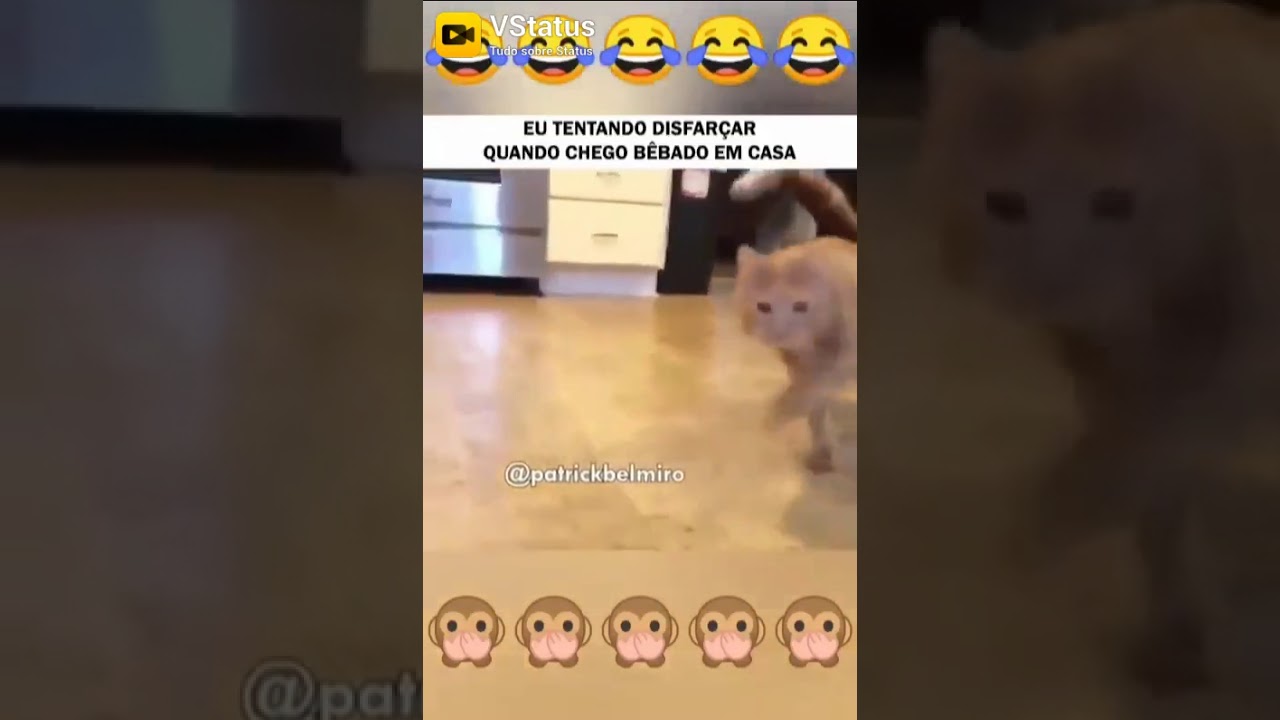 Quando Eu Chego Em Casa Nada Me Consola