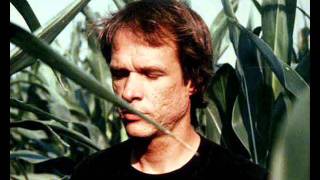 Video thumbnail of "Arthur Russell - A Little Lost"