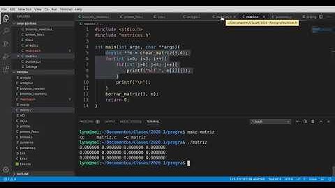 Librería de creación de matrices y cálculo de determinantes en C