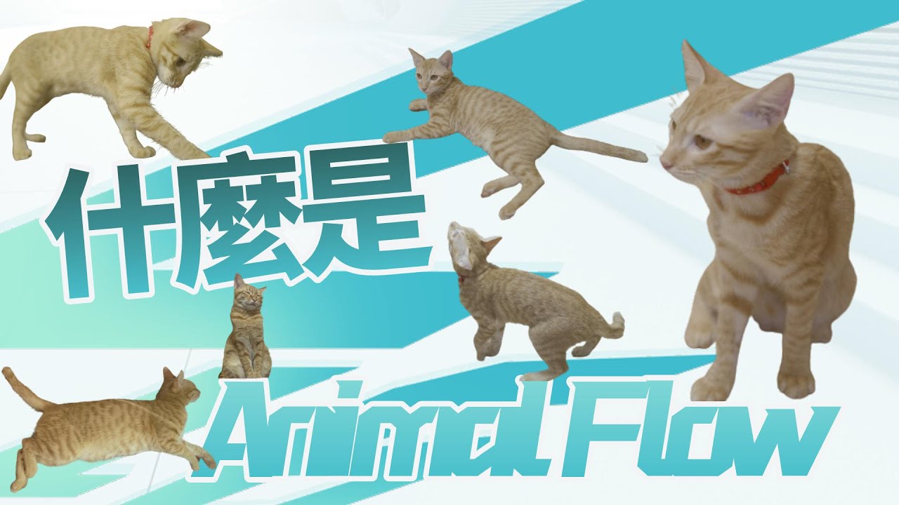 Animal Flow是什麼?動物流兩小時體驗課程心得報告。 縮圖