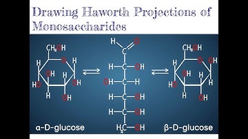 360 BCH3023 Drawing Haworth Projections of Monosaccharides