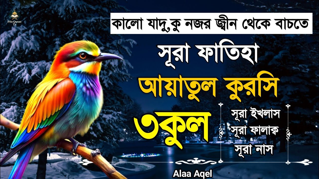 সূরা ফাতিহা আয়াতুল কুরসি ৩কুল | Surah Fatiha Ayatul kursi 3qul | quran recitation | By Alaa Aqel 