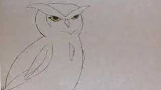 Owl Girl Morph