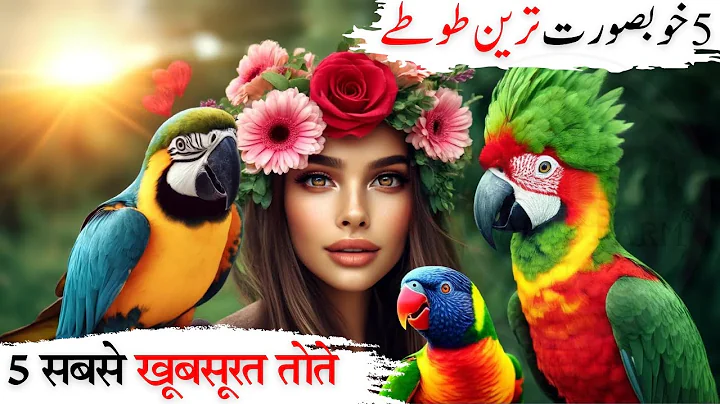 Discover the World's Top 5 Most Beautiful Parrots | The Wild Farm