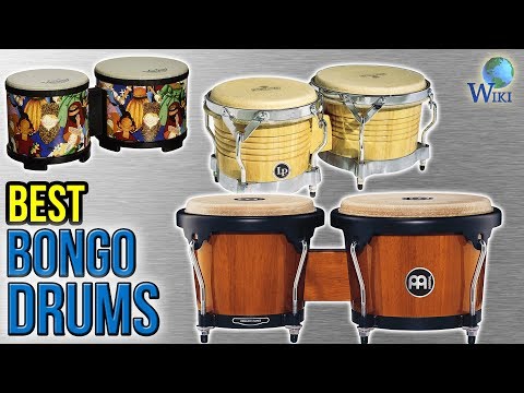 7-best-bongo-drums-2017