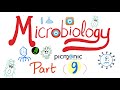 Microbiology -Gram (-) | Campylobacter jejuni, Vibrio cholera, E.coli, Klebsiella - Picmonic- Part 9