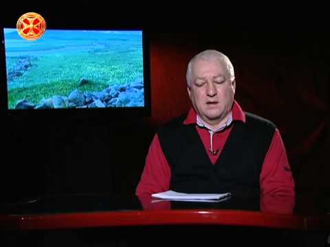 სასოწარკვეთილება