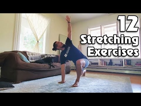 12 Stretches for Flexibility (For All Fitness Levels) - LifeHack