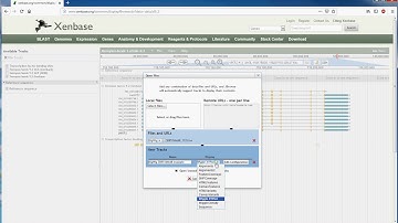 Xenbase JBrowse tutorial: Adding a local/custom track from your PC