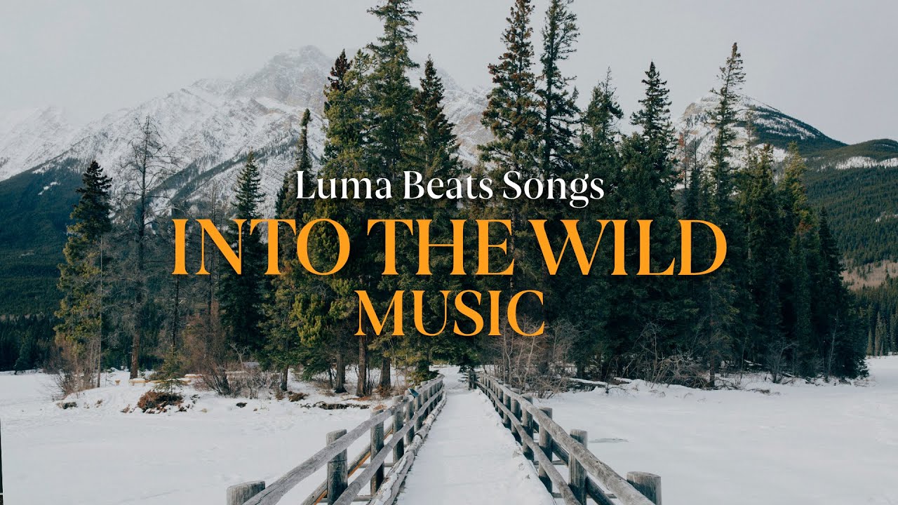 Indie Folk Compilation - Warm Winter ❄️ (1-Hour Playlist)