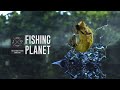 на рыбалке Fishing Planet ! #shorts  #Fishing Planet #рыбалка