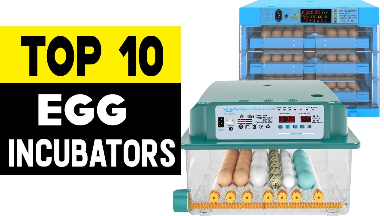 Top 10 Best Egg Incubators in 2021 Egg Incubators Review YouTube