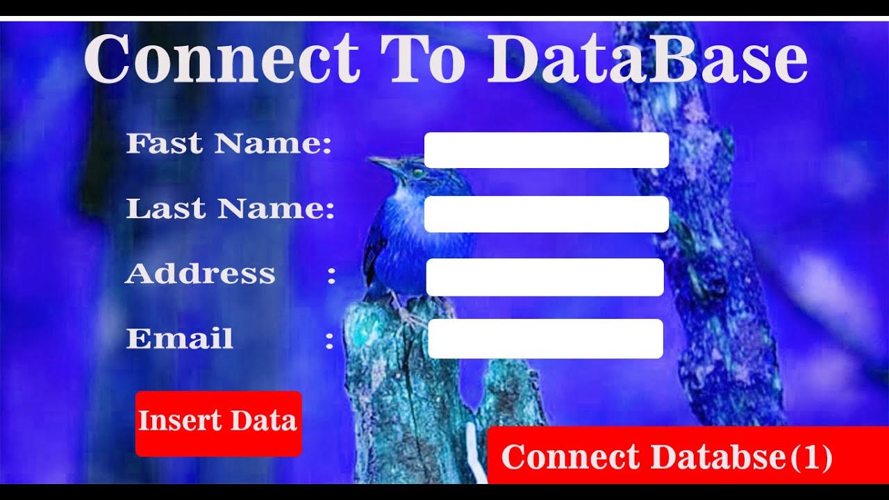 How to Connect HTML Form with MySQL Database using PHPin Urdu-2020 ...