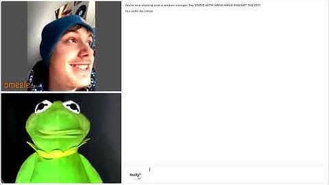 Kermie lookin' for baddies on Omegle