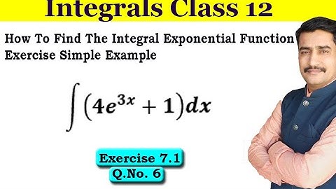 How To Find The Integral Exponential Function Exercise Simple Example |   Integral Class 12 Example