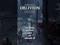 Radiant AI ЖЖЁТ в 4K! 🔥 Песня-Обзор #OblivionRemastered #Gaming #TESIV #Funn