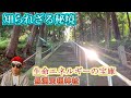 知られざる秘境！生命エネルギーの宝庫『長渕天祖神社』に行った気になれる動画／東京都【パワースポッチャ―】