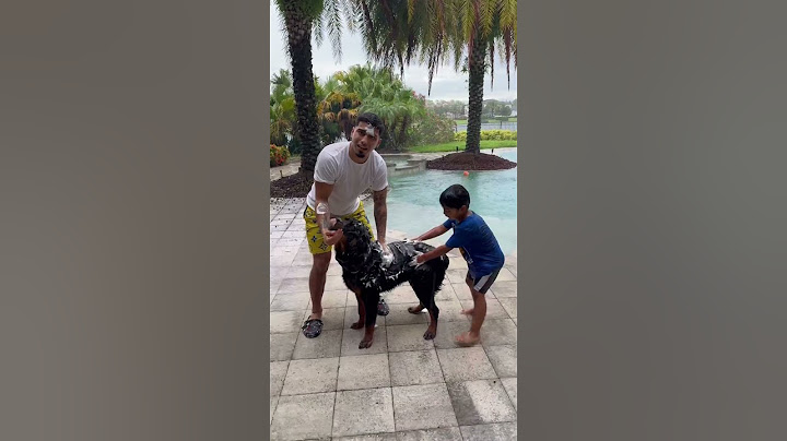 Mom catches dad and son washing dog outside in the rain #shorts