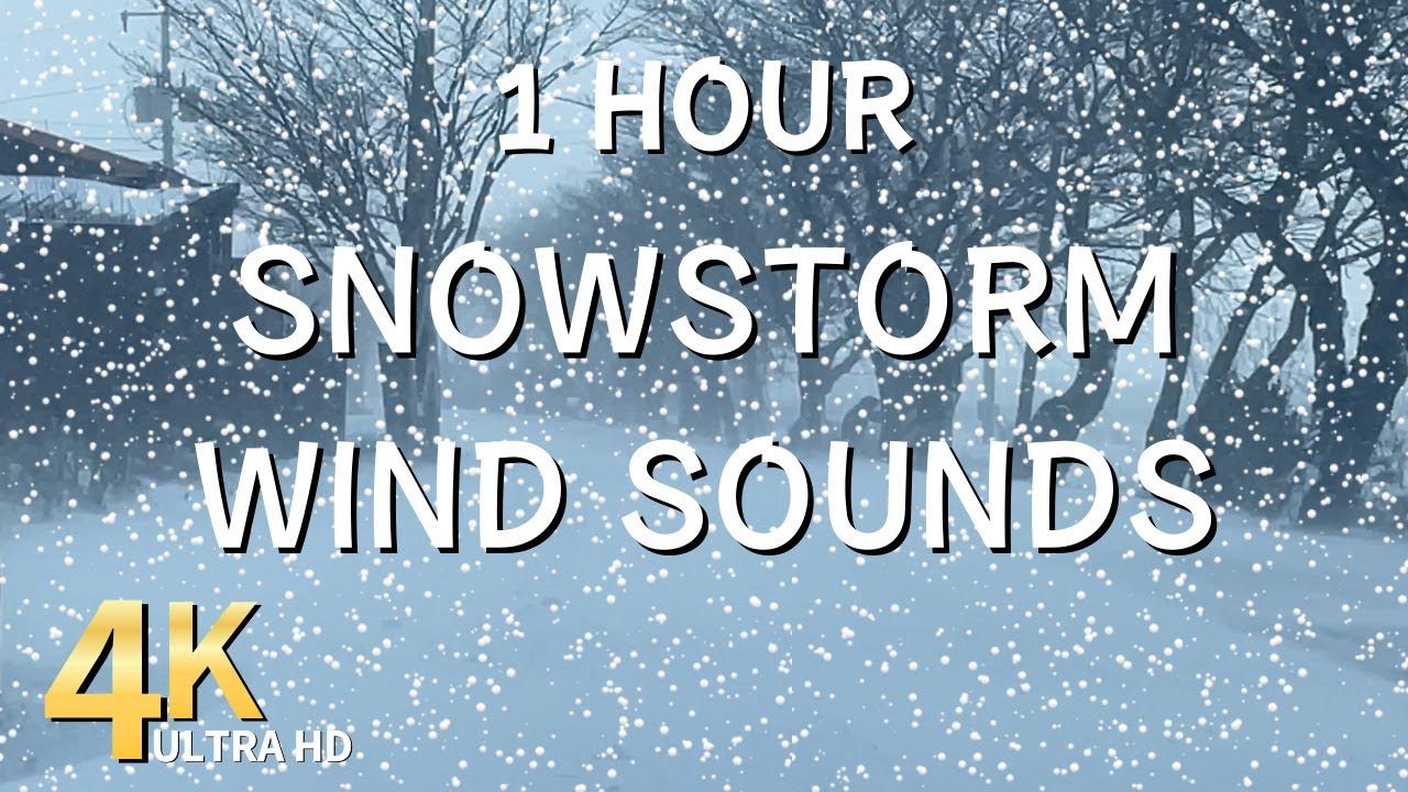 Snowstorm and wind sounds /1 hour / Snowfall, Blizzard / Sleep, Study ...