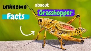 10 Unkown Facts About Grasshoppers, You didn´t know! by Somil facts corner 116 views 1 year ago 5 minutes, 56 seconds