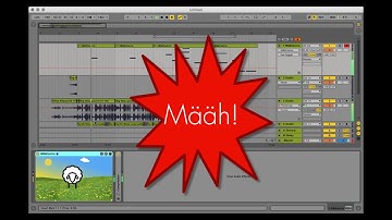 Max for Cats - Määhssive