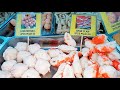 Street food haven in the philippines  filipino street food