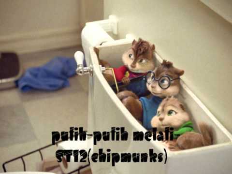 putih-putih melati-ST12(chipmunks)