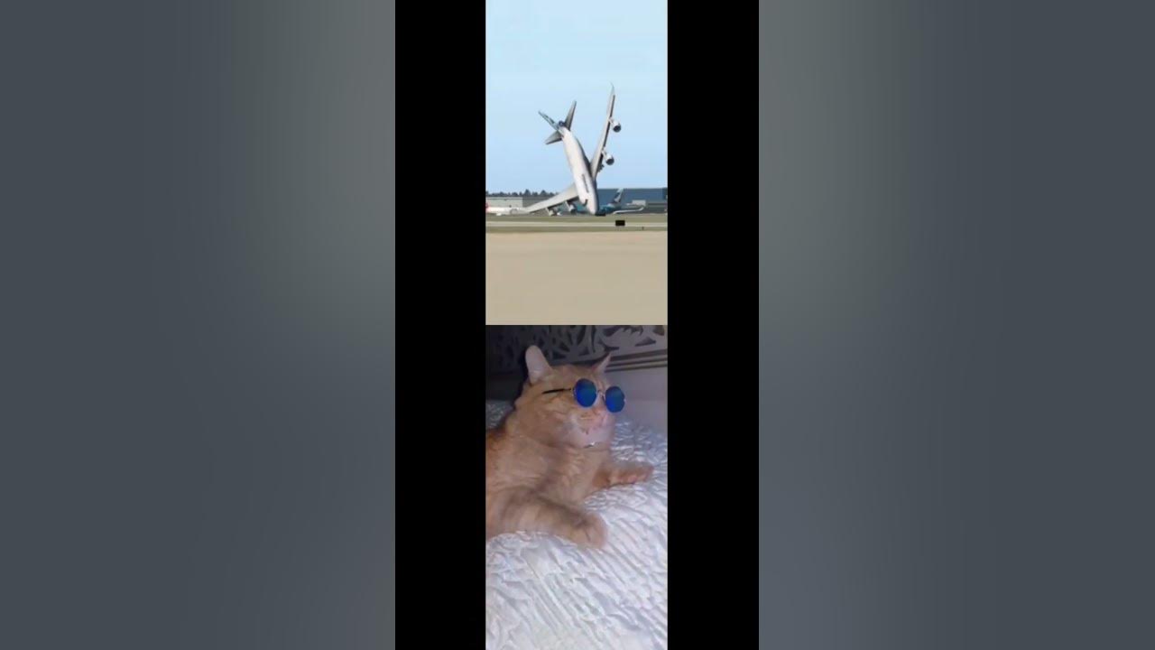 Tiktok Remix | Makeba Song | Reaction Video Tiktok Remix | Makeba Song | Reaction Video
