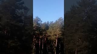 Вид луны в солнечный день 01.10.2018