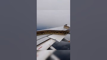Huge python on aeroplane wing😱😱 #wildlife #snake #python #aeroplane #shorts #youtubeshorts