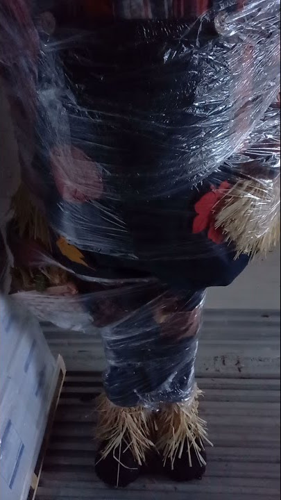 why @Mrbeast Wrap me in plastic ? Mrbeast Challenge | Whatsapp Status | Viral TikTok Video #Shorts