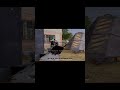 #16 Shorts Only using YouTube library music #pubgpc #shorts #pubgindia #gaminglive #shortsfeed #bgmi