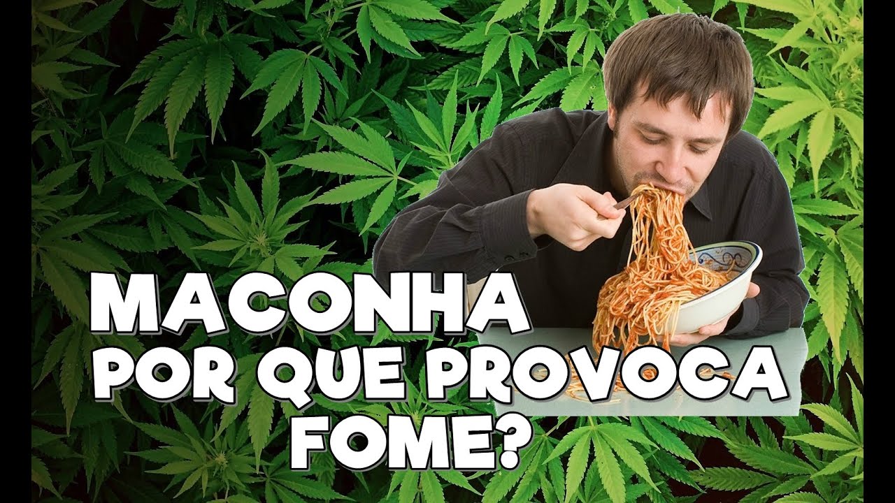 MACONHA - POR QUE PROVOCA FOME?