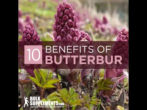 Video: Butterbur (yrtti) - Butterburin, Butterbur-juurien Hyödylliset Ominaisuudet Ja Käyttötarkoitukset. Butterbur-lääke, Hybridi
