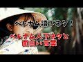 ベトナム語下ネタ！ベトナム人下ネタと面白い言葉…下ネタ（スケベ・エロ・エッチ）面白いベトナム語、エロい会話のネタとベトナム語面白い言葉。すけべなベトナム語について