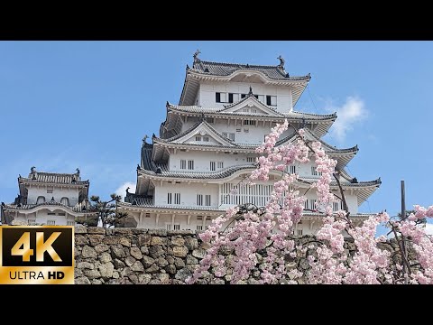 فيديو: هل يمكنك الدخول داخل قلعة هيميجي؟