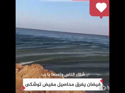 عاجل بسبب فيضان تصريف بحيرة سد النهضه غرق مفيض توشكى في مصر و صمت من السيسي اكسبلور السيسي