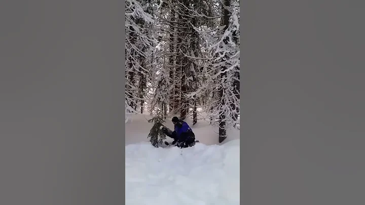 Tim & Scooscoo frolicking in the snow