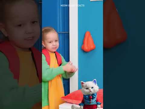 Pawesome Gadgets & Quirky Tools for Cat Lovers! 🐱✨