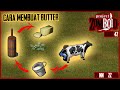 Cara Membuat Butter Untuk Menaikkan Berat Badan - Project Zomboid Indonesia Build 42
