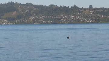Alert level raised for NZ Taupo Volcano