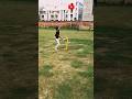 Fast bowling speed kaise badhaye  youtubeshorts fastbowling viral