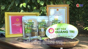 Phát huy vai trò kinh tế tập thể trong liên kết tạo đầu ra cho sản phẩm nông nghiệp