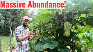 How We Feed our Family with a 20x40 ft. Garden  COMPLETE TOUR