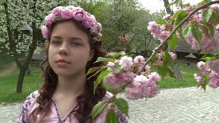 До Дня Матері." Мальви". Виконує Аліна Заріцька.Зимноводівська школа мистецтв