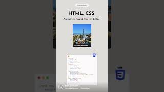 Animated Card Reveal Effect- HTML/ CSS 🥐☕️