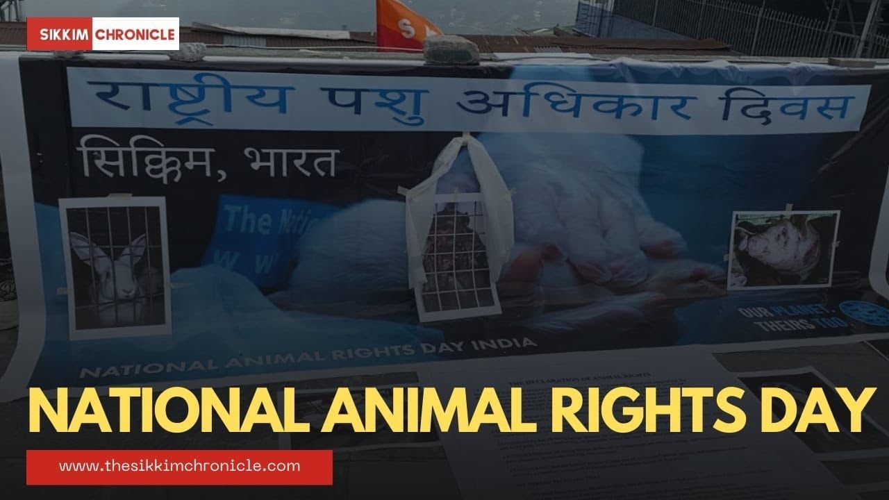 National Animal Rights Day program organised by People for Animals ...