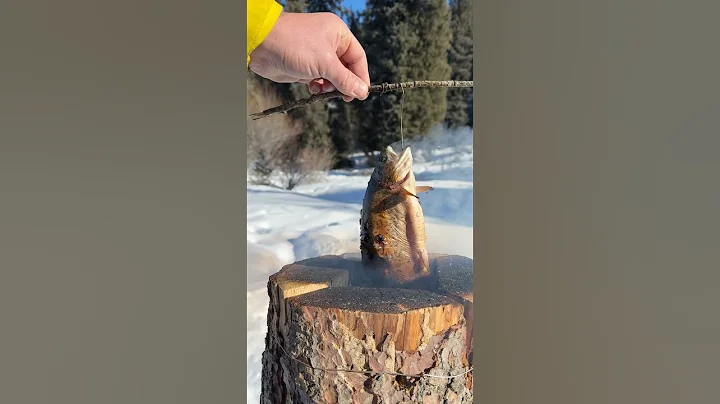 winter fishing😍 #survival #outdoorcooking #outdoors #fishing #fish #winter #food #nature