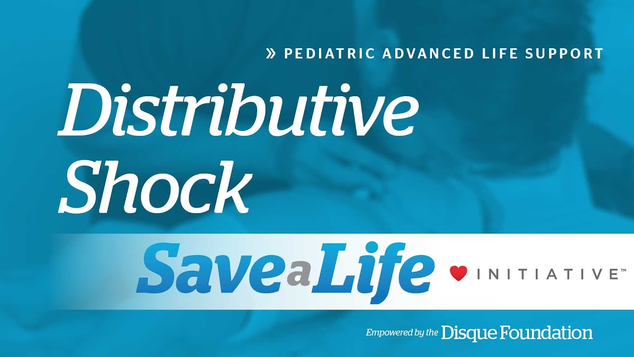 9c: Distributive Shock (2026) - YouTube