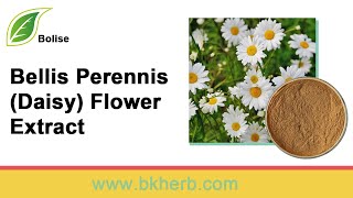 Bellis Perennis (Daisy) Flower Extract Function